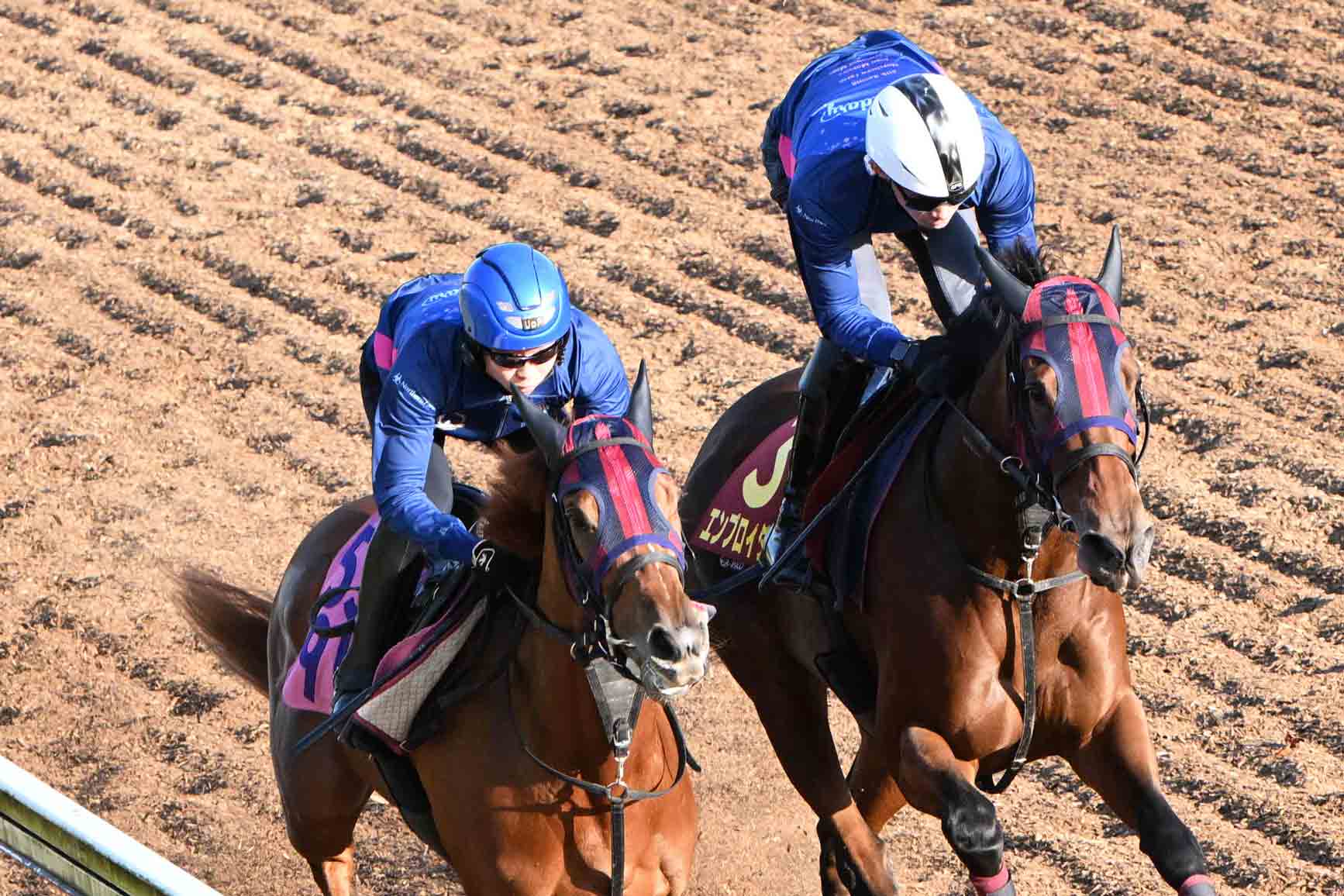 サニーブライアン一覧 | 競馬ニュース・特集なら東スポ競馬