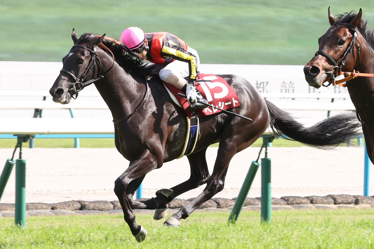 トウカイテイオー大外20番枠からの圧勝 単枠指定最後の年「ただ1頭の