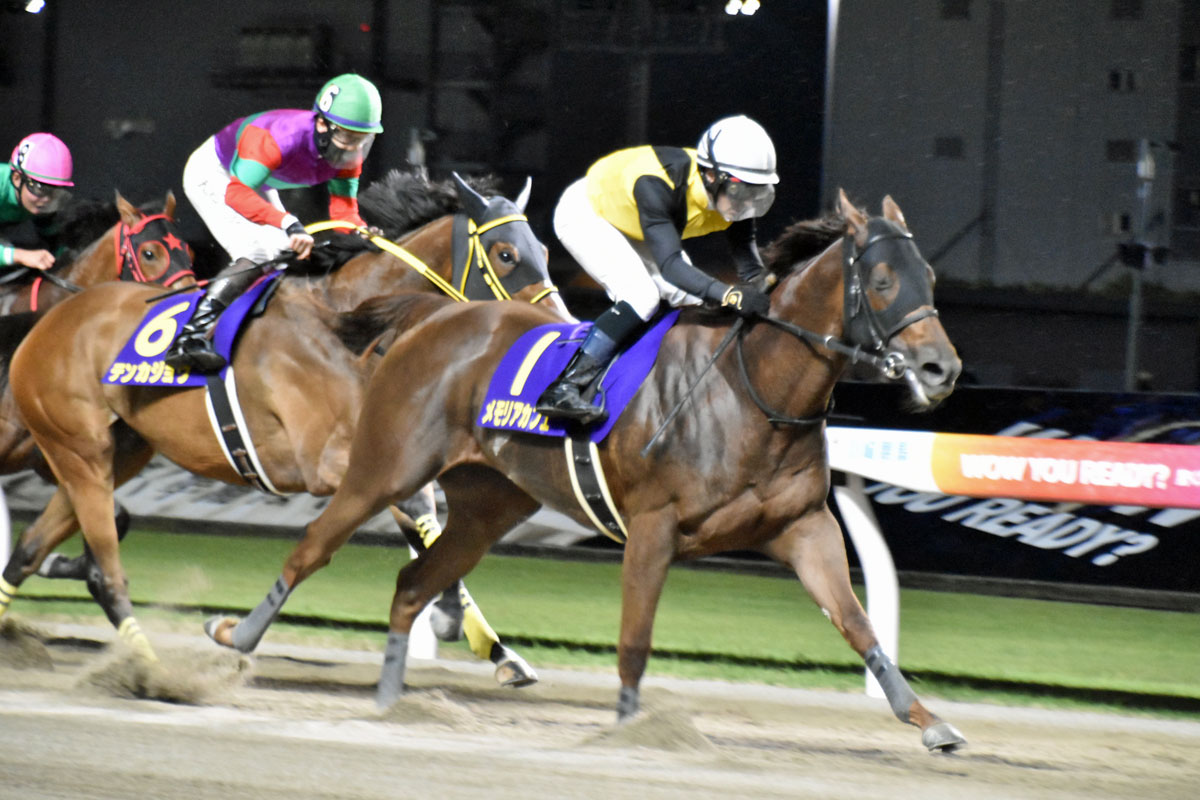 大阪杯追い切り】エフフォーリア ラスト11・2秒で併入 横山武