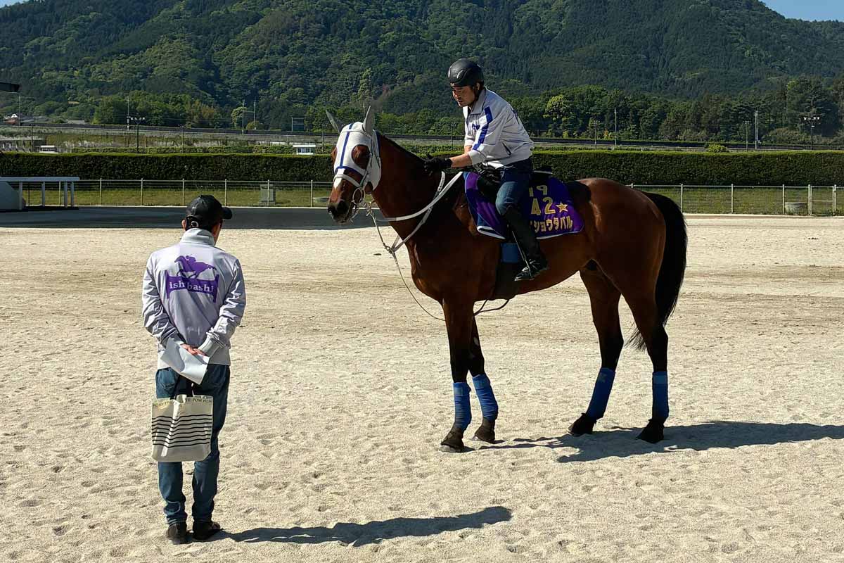 セレクトセール2024】藤田晋氏が5億9000万円ホースで競り