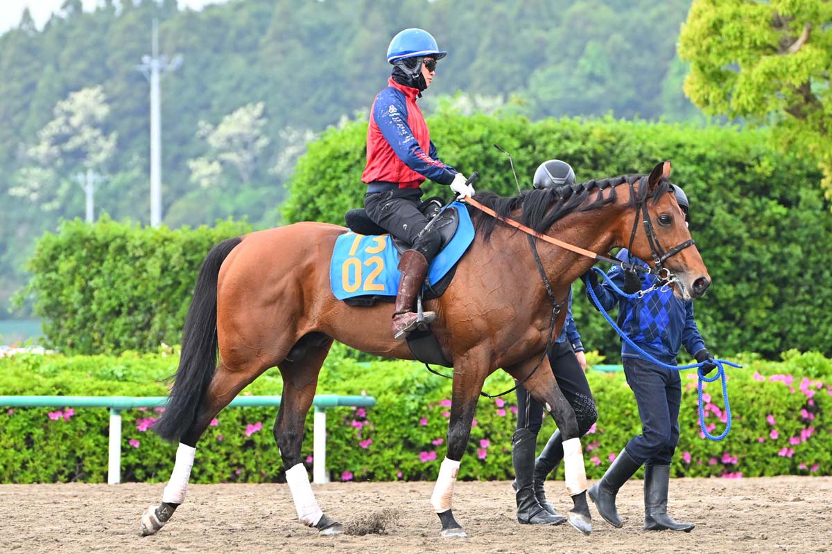 新潟大賞典予想 調子落ちは皆無！ ドゥラドーレスここなら胸を張れる