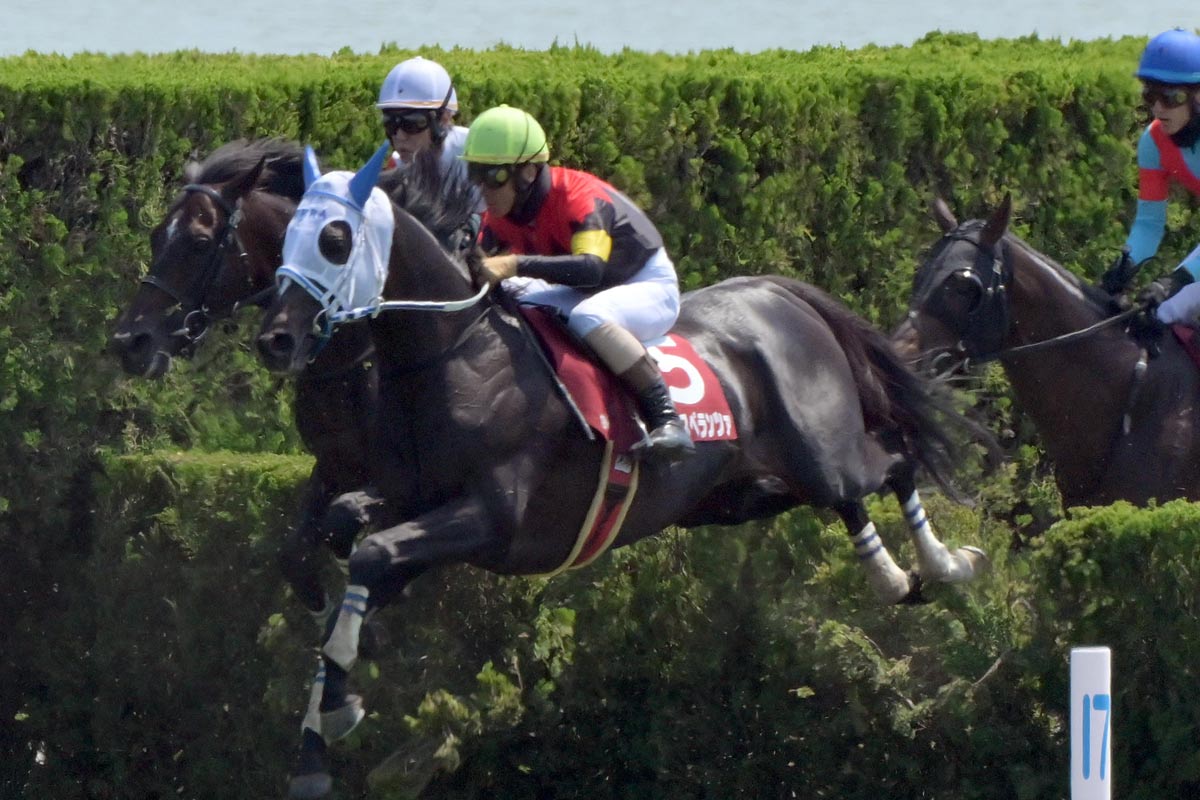 京都ハイジャンプ】シホノスペランツァが重賞初V 連覇＆レース5勝目の