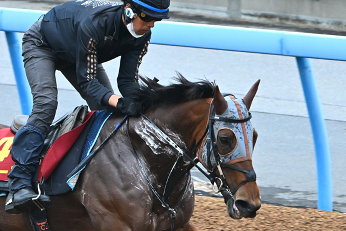 2004年・オークス】大本命馬を負かす〝唯一の戦法〟ダイワエルシ