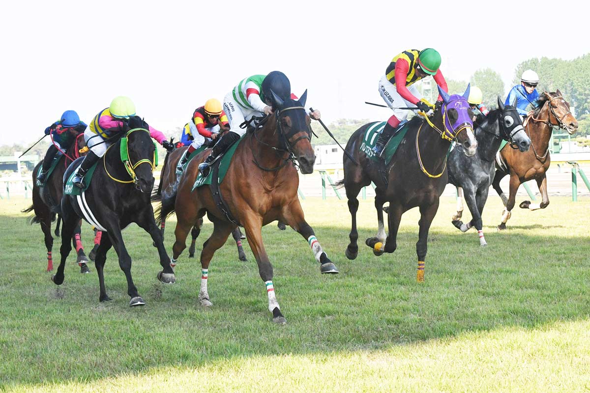新潟大賞典結果＆コメント】グランディア重賞初V 西村淳也「7歳でも