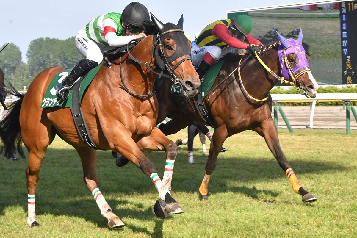 新潟大賞典】7歳馬グランディアがうれしい重賞初制覇 西村淳也「〝これ