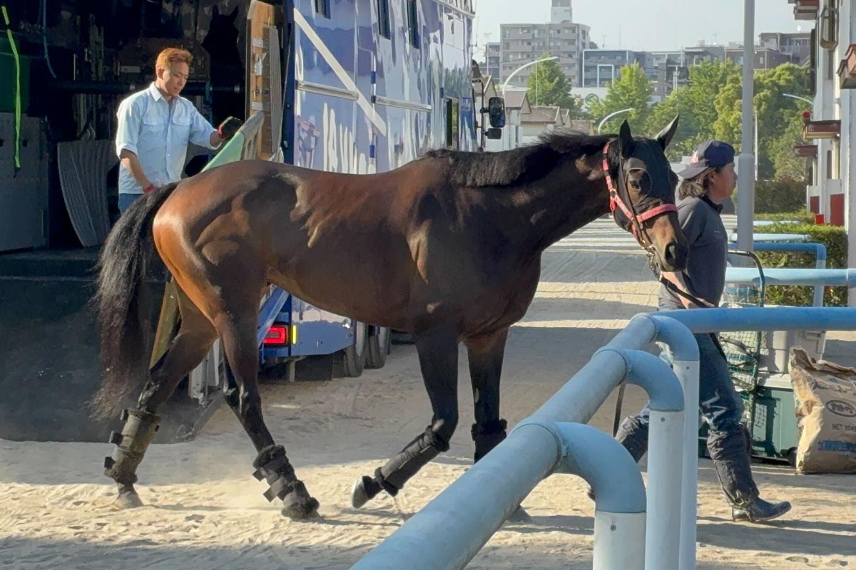 セレクトセール2024】牝馬歴代2位の4億円！ キタサンブラック産