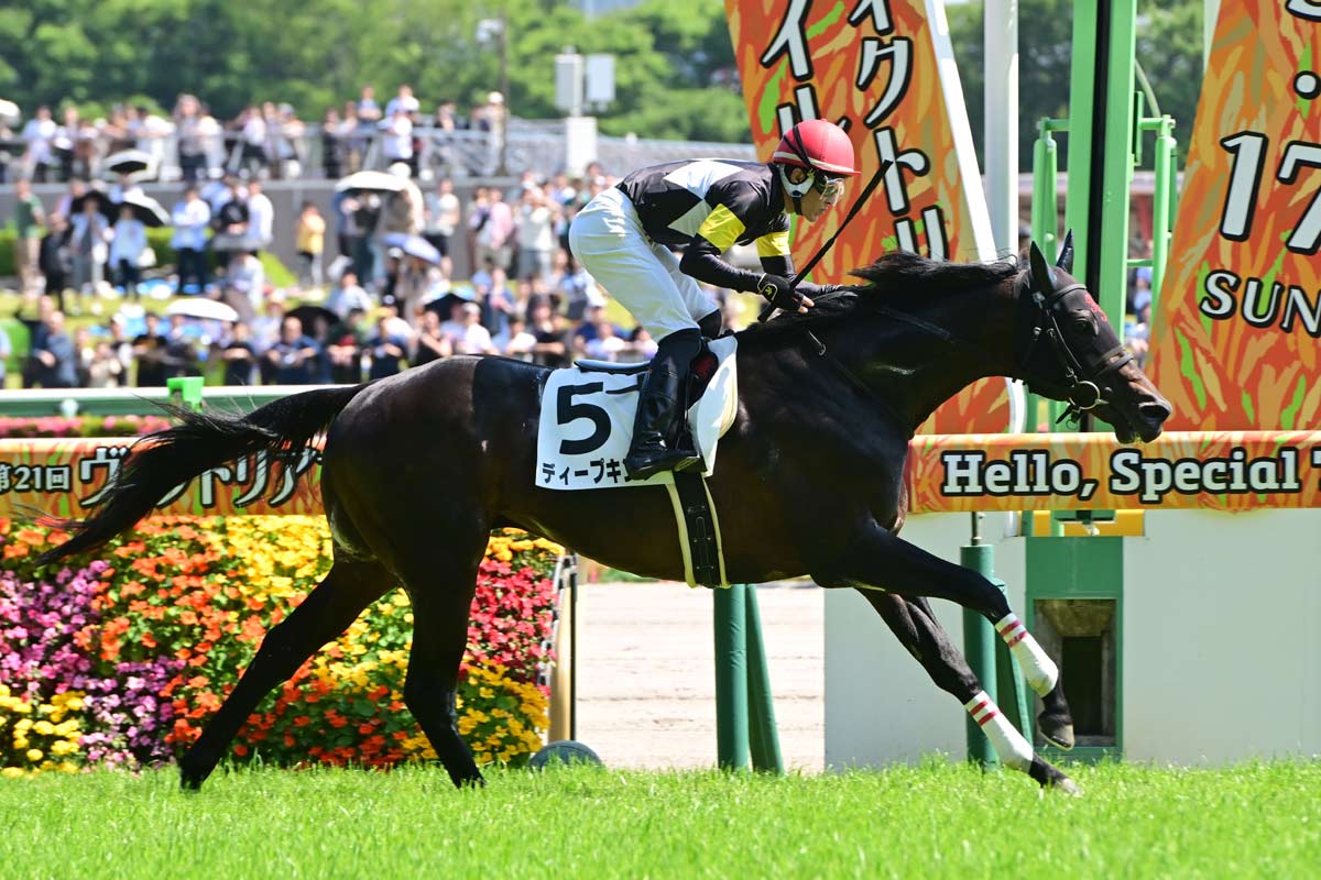 ディープインパクト産駒9歳馬ディープキングが6年ぶりの勝利！ 3度の