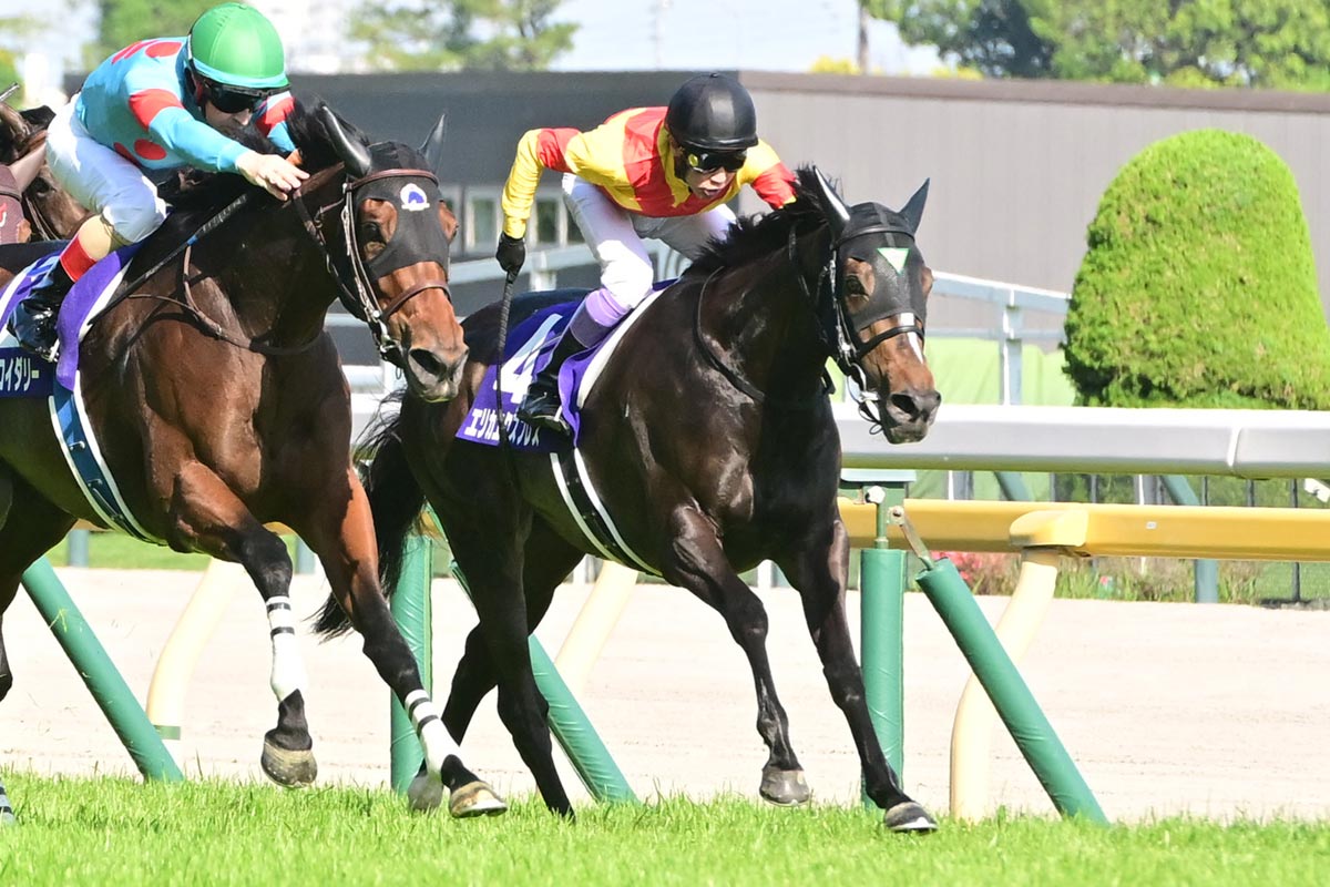 2004年・オークス】大本命馬を負かす〝唯一の戦法〟ダイワエルシ