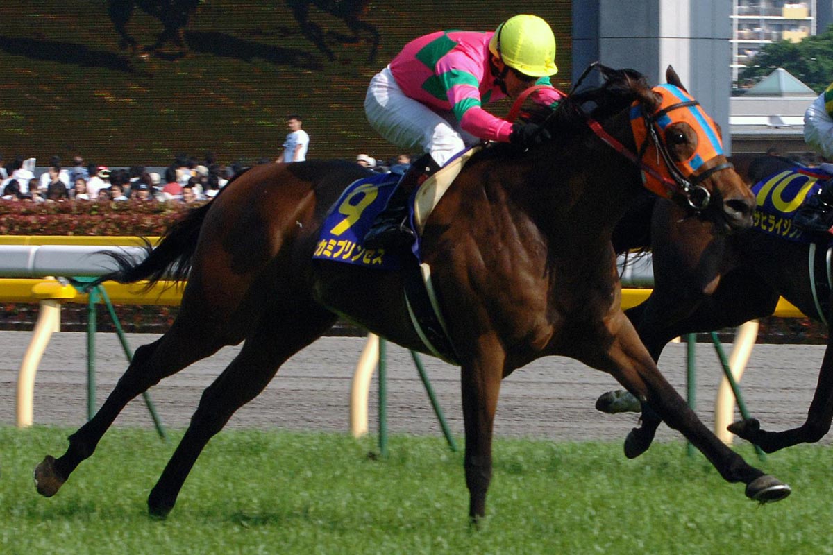 2004年フェブラリーS】「ダートの王道」ど真ん中を歩んだ