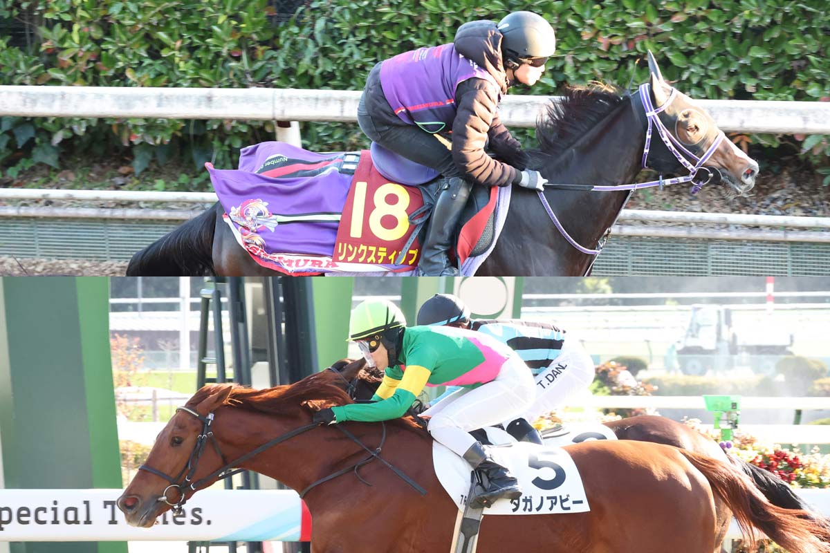 昨年の桜花賞3着馬とオークス3着馬が土曜京都のシドニーTで対決へ
