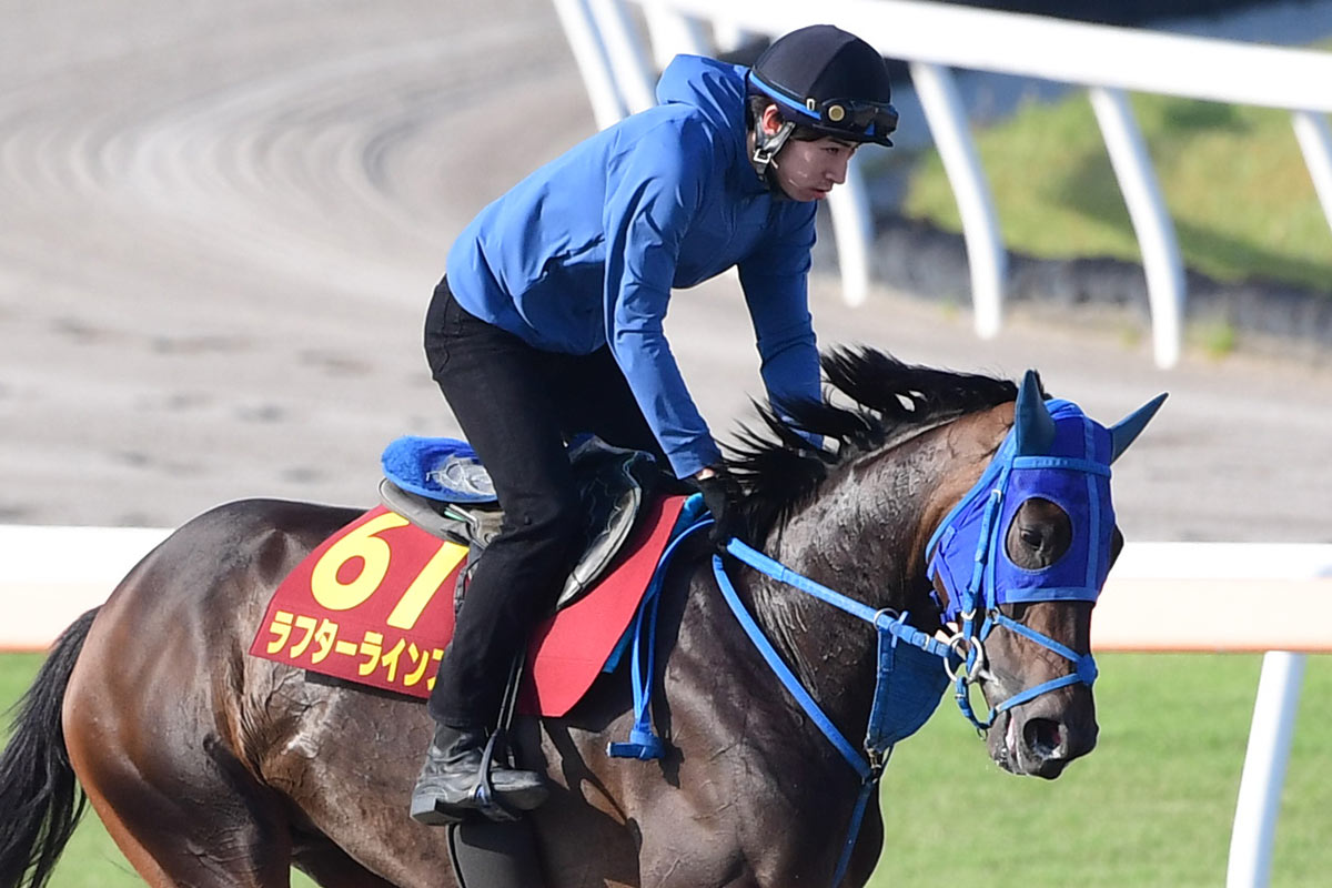 サトノダイヤモンド 新馬戦〜天皇賞・春２歳から４歳国内全９戦現地単勝馬券セット 2歳新馬】サトノダイヤモンド産駒のタリフラインが大外一気 ルメール