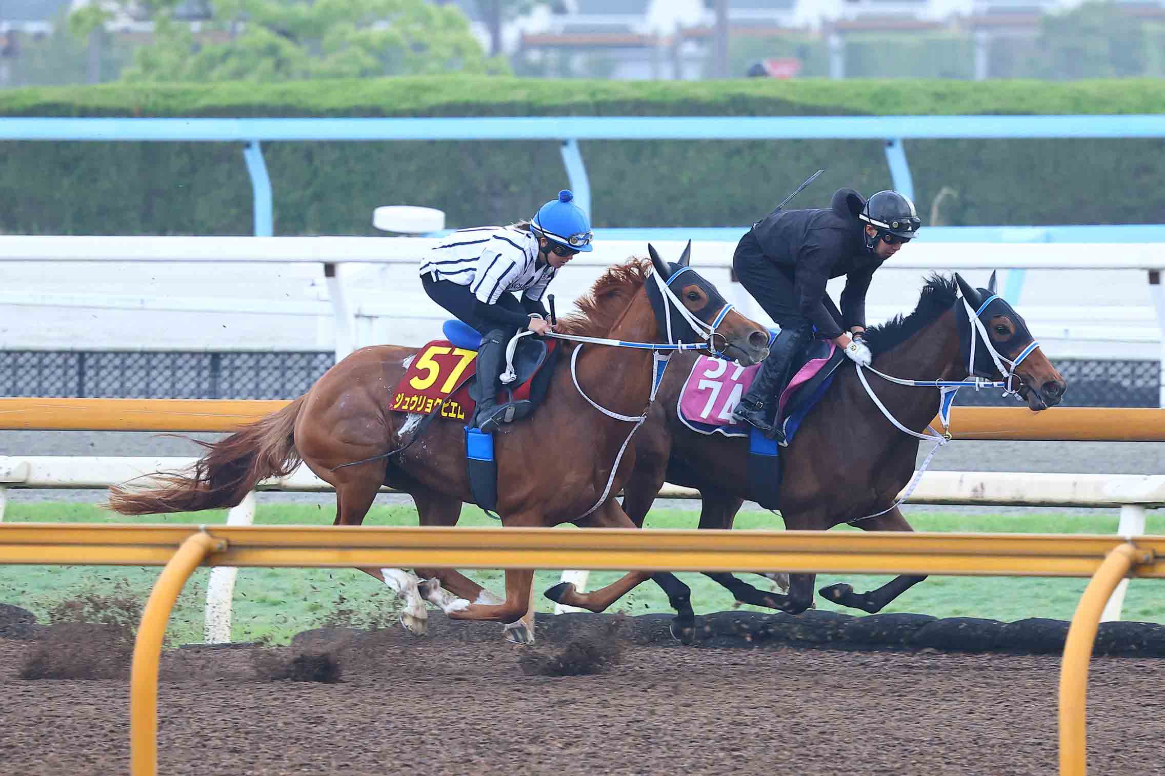 オークス追い切り】ジュウリョクピエロは今村聖奈を背に軽快な動き