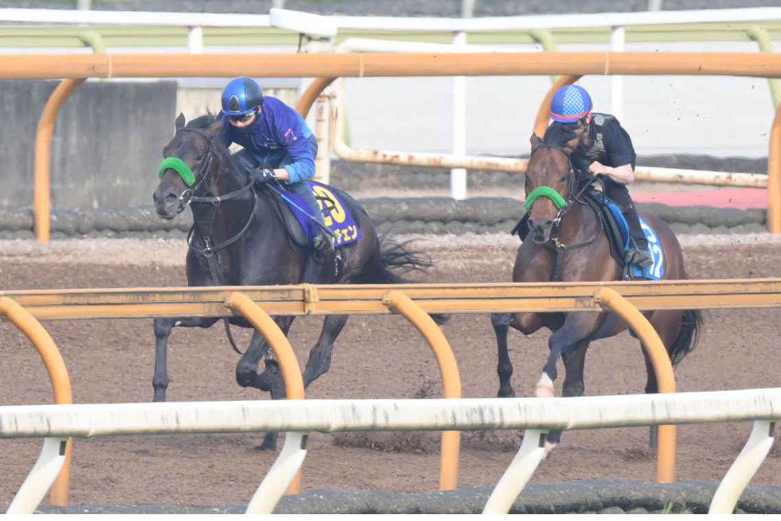 ダービーを占う】実績ある皐月賞組に挑むのは2頭のコントレイル産駒と