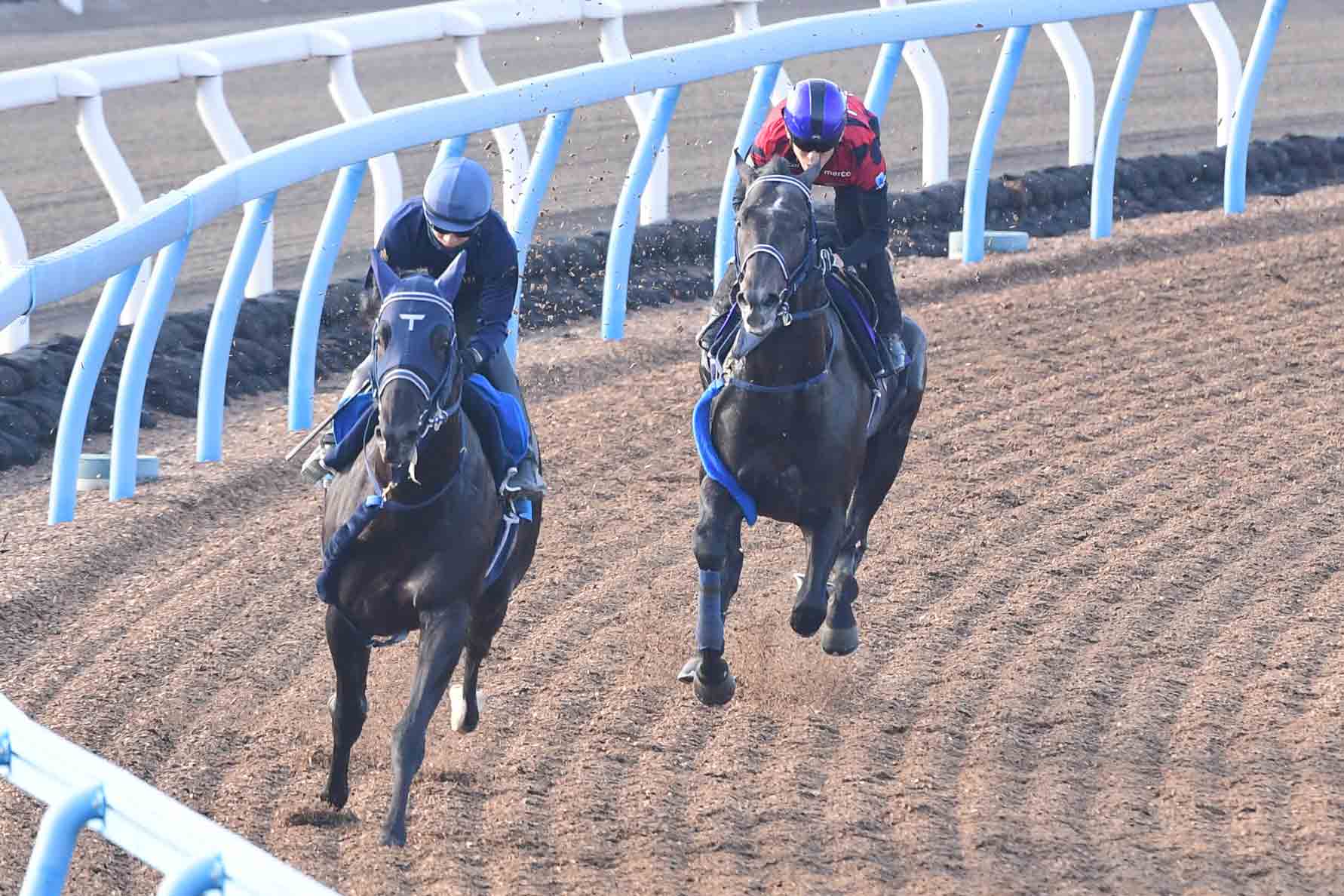 ダービーを占う】実績ある皐月賞組に挑むのは2頭のコントレイル産駒と