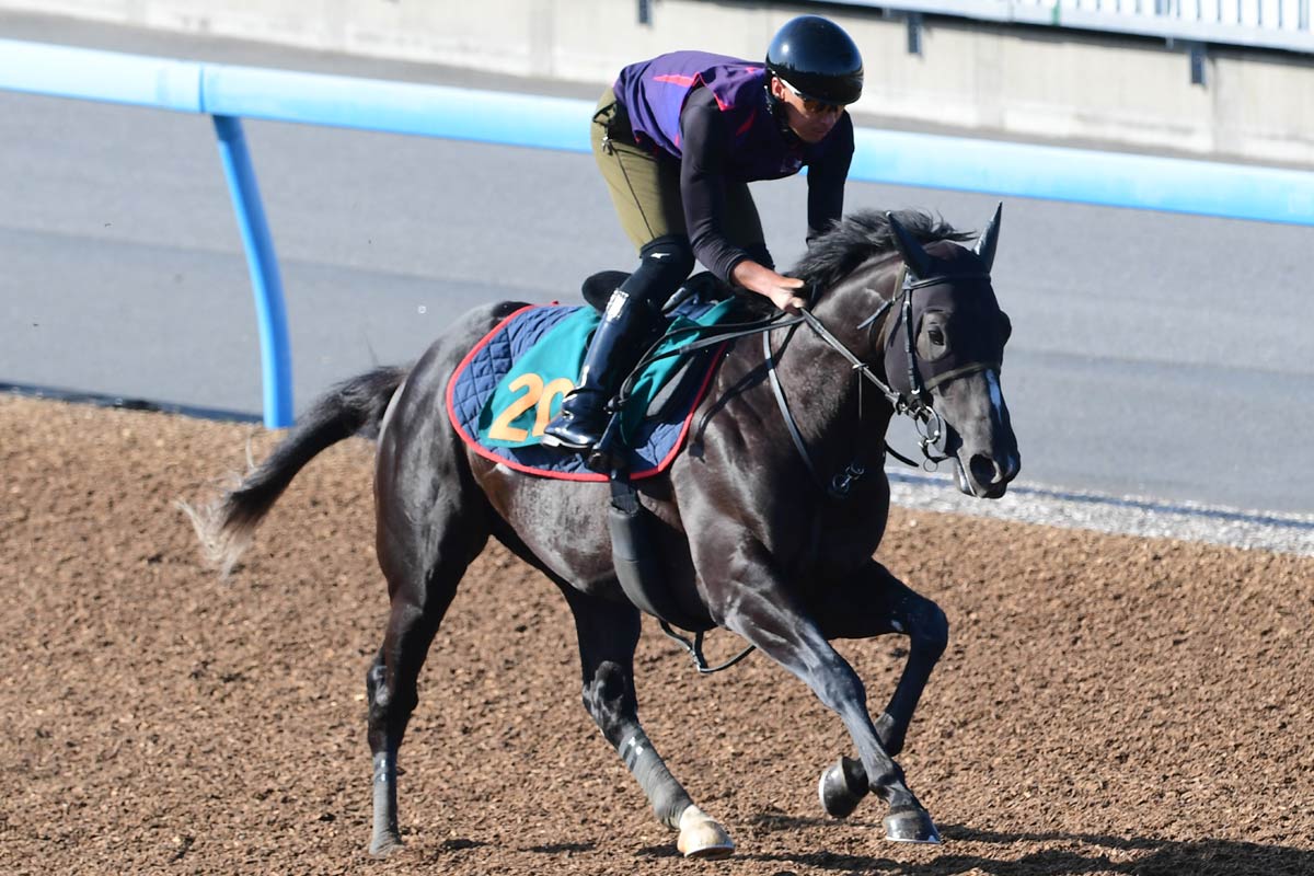 アルテミスS展望】〝史上最速上がり〟リバティアイランドが登場