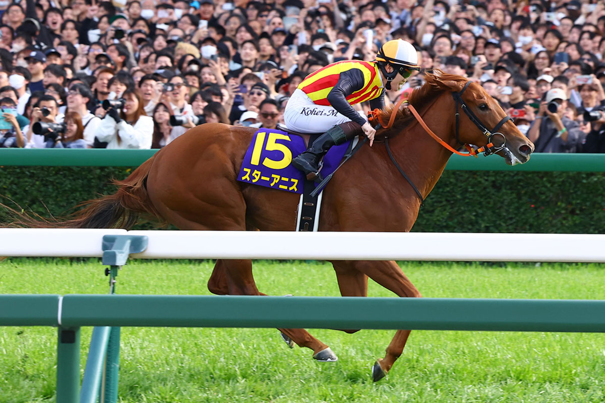 オークス・生情報】ジュウリョクピエロは2度目の長距離輸送が「大成功