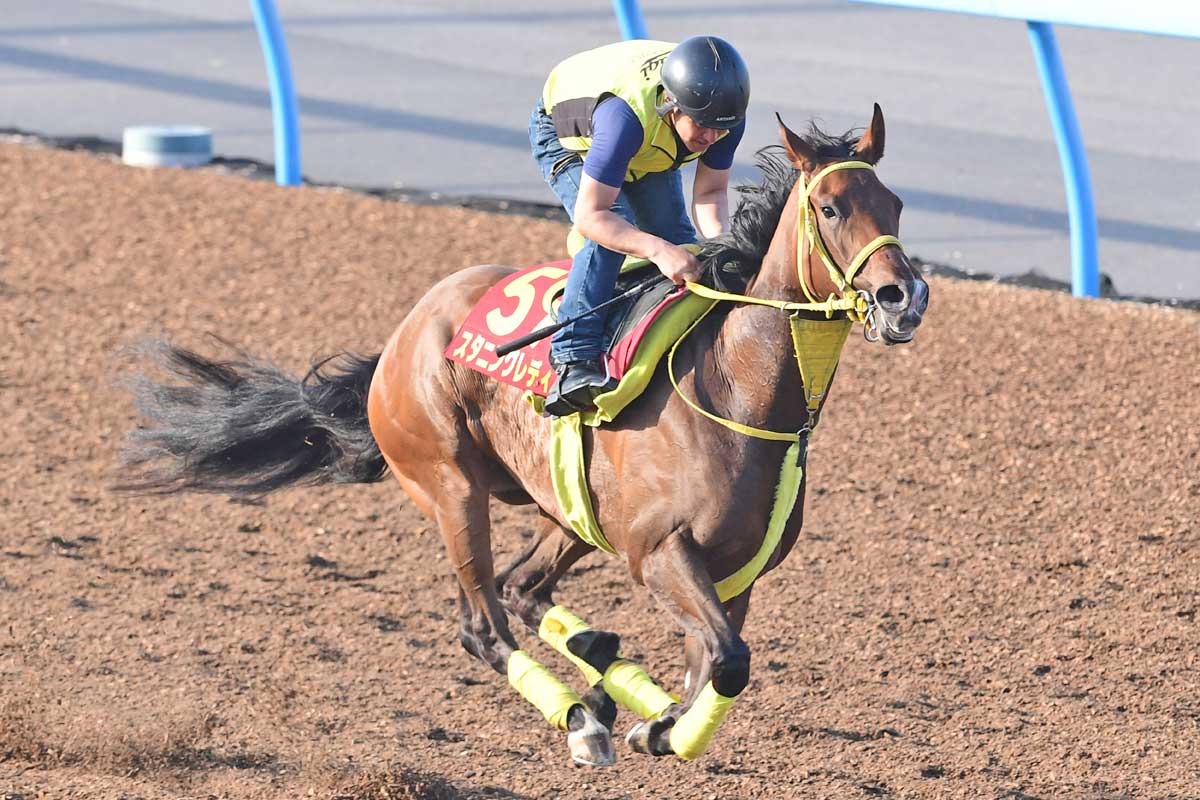 三浦皇成コラム】オークスは「好枠」に入ったスタニングレディで一発