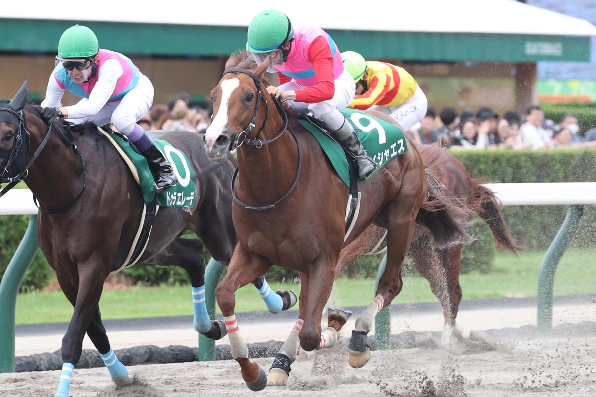 プレゼント】3冠牝馬デアリングタクト＆「二刀流」モズアスコットの
