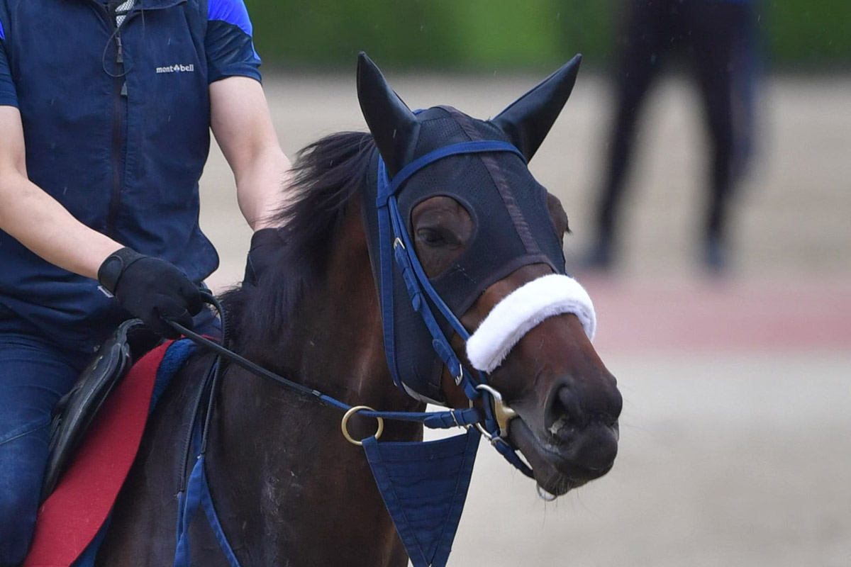 武豊×サイレンススズカ 伝説の金鯱賞〝復刻馬券〟にファン歓喜「絶対に