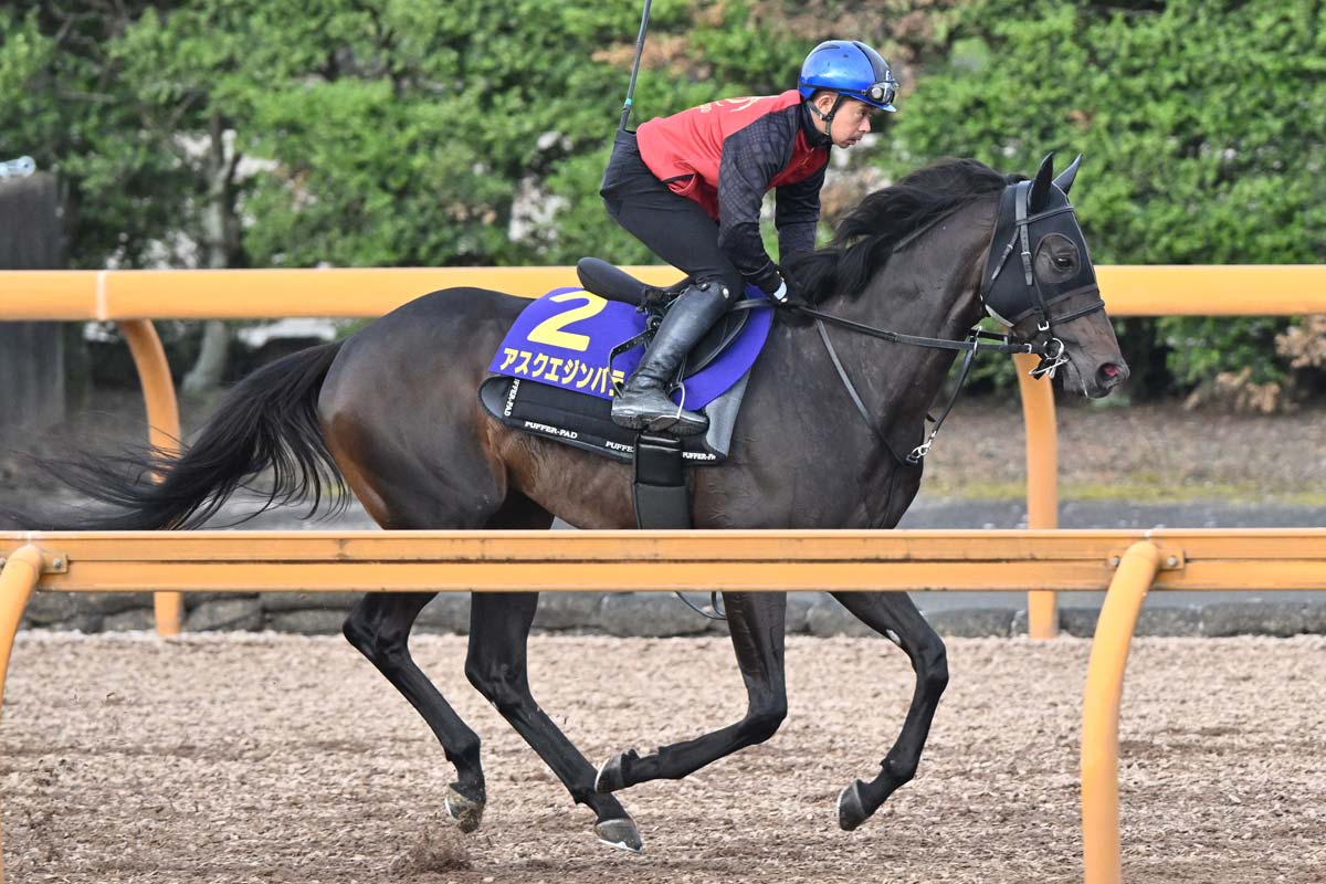 ダービーを占う】実績ある皐月賞組に挑むのは2頭のコントレイル産駒と