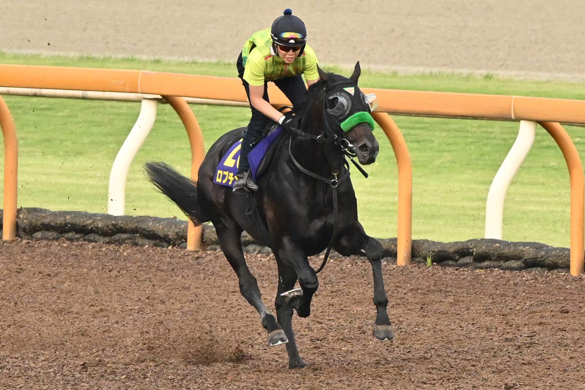2001年・宝塚記念】テイエムオペラオーの後塵を拝し続けた