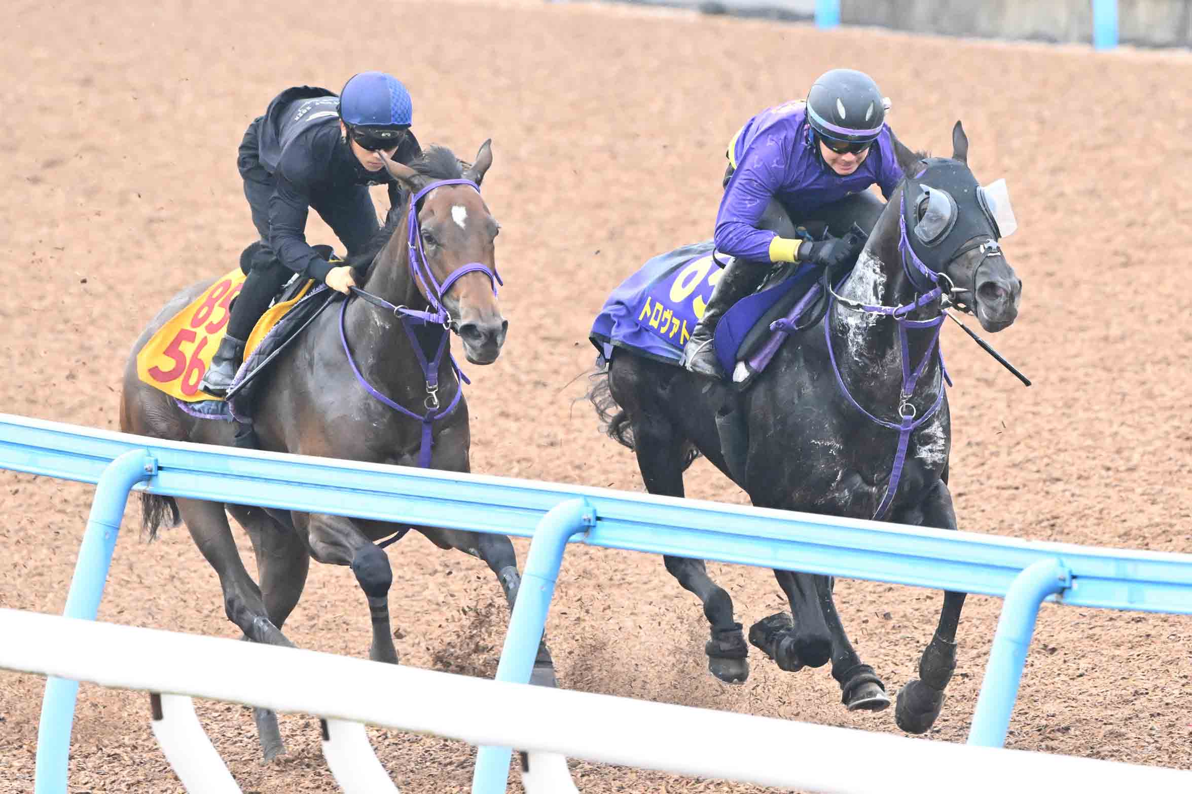 02年皐月賞馬ノーリーズン死す 25歳 抽選突破から単勝万馬券での劇