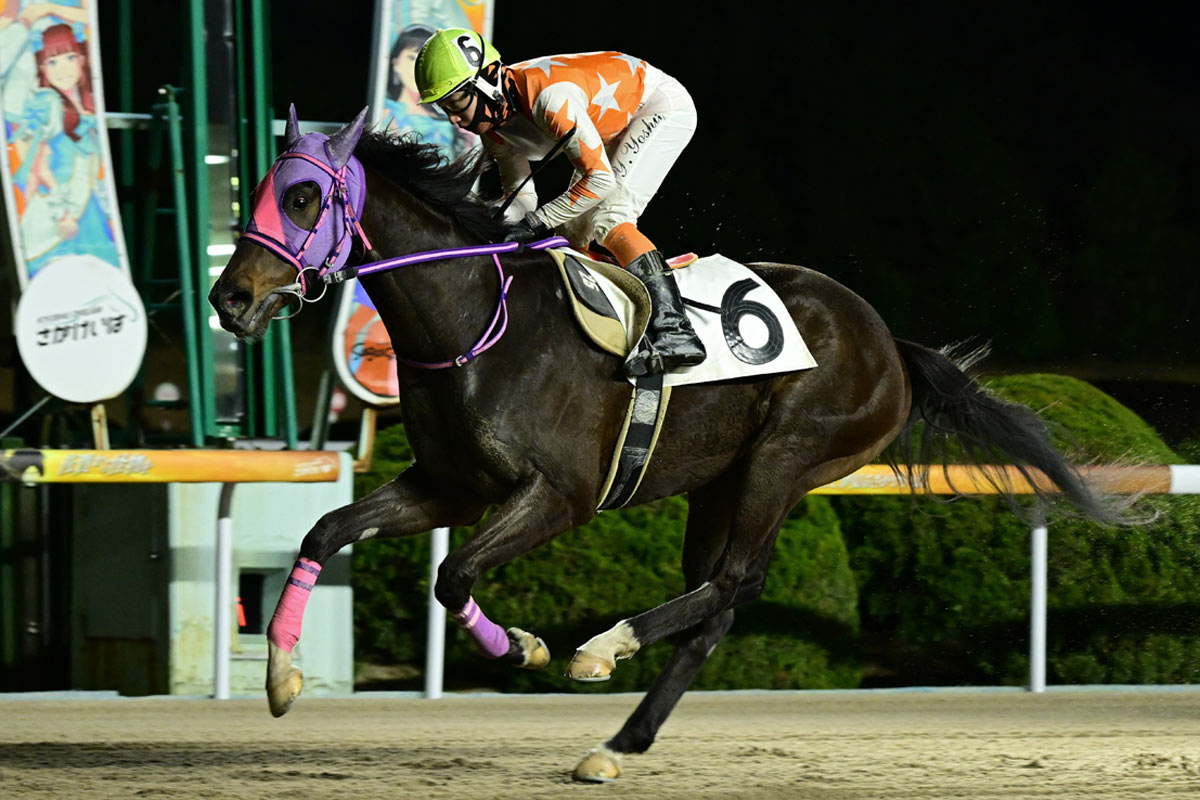 2000年ダービー馬アグネスフライト死す コンビを組んだ河内調教師