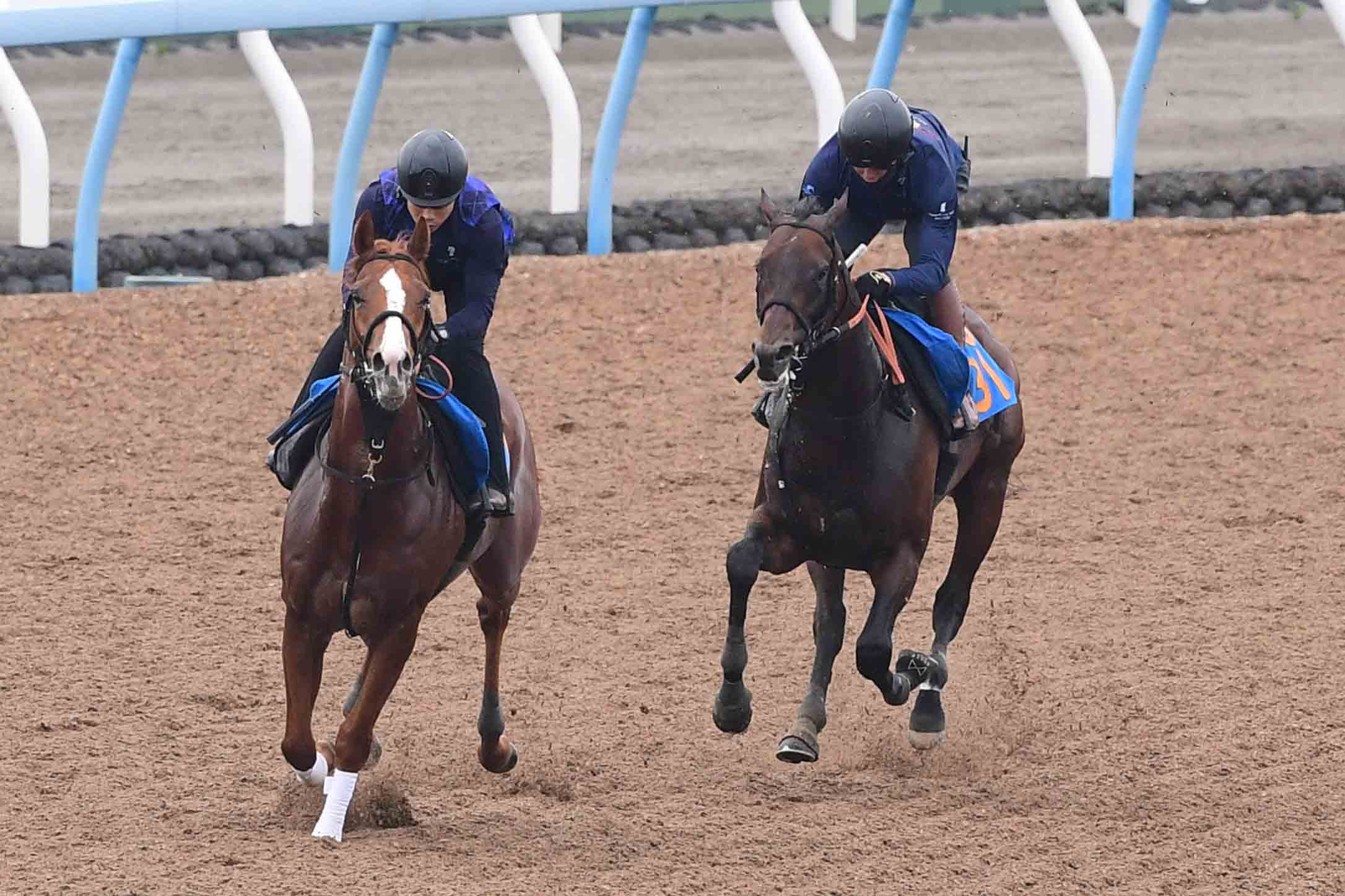 プレゼント】コントレイル号の特製ブルゾンを1名様に！ | 競馬