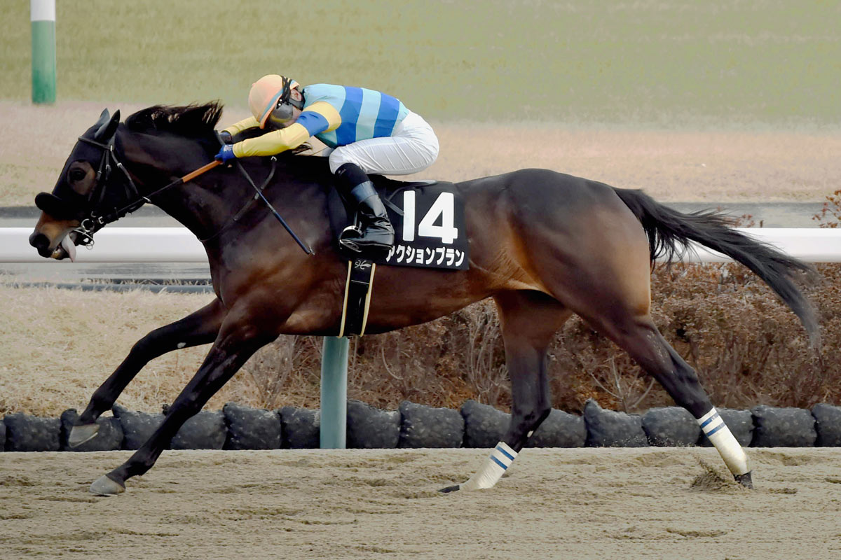 プレゼント】コントレイル号の特製ブルゾンを1名様に！ | 競馬