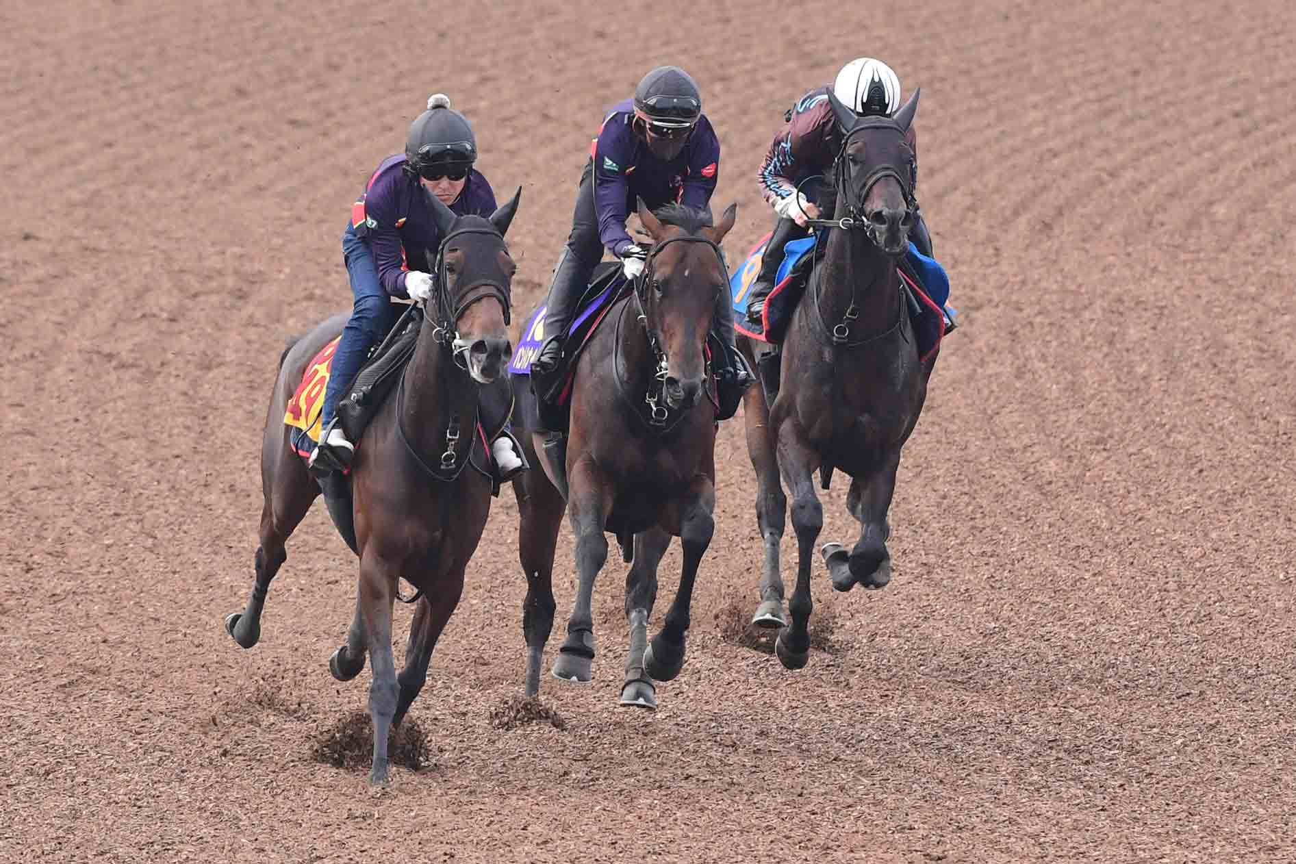 1988年有馬記念】芦毛対決！オグリキャップがタマモクロスに一矢報