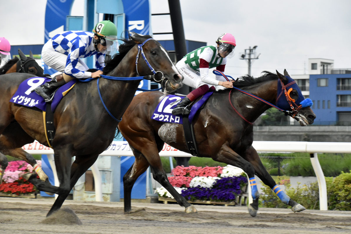 プレゼント】コントレイル号の特製ブルゾンを1名様に！ | 競馬