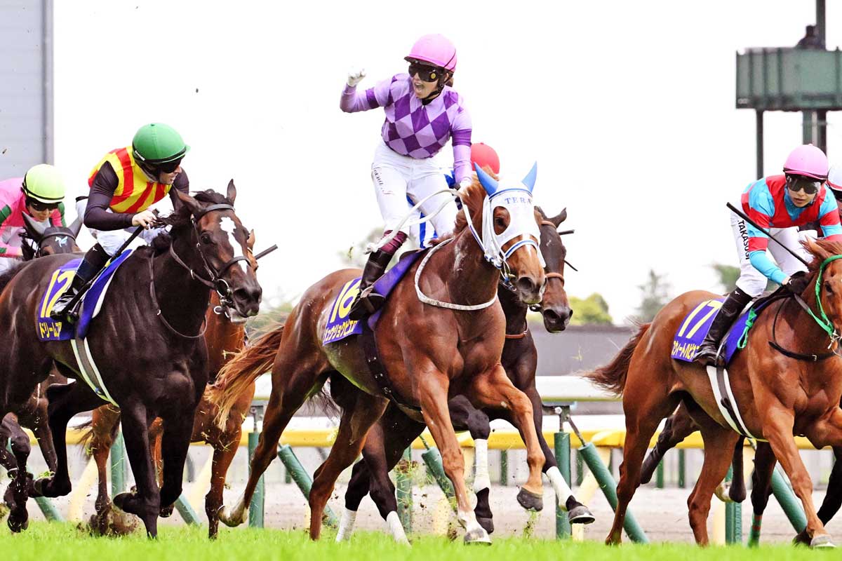菱田裕二コラム】すごいことを成し遂げた今村聖奈騎手 当日の阪神競馬