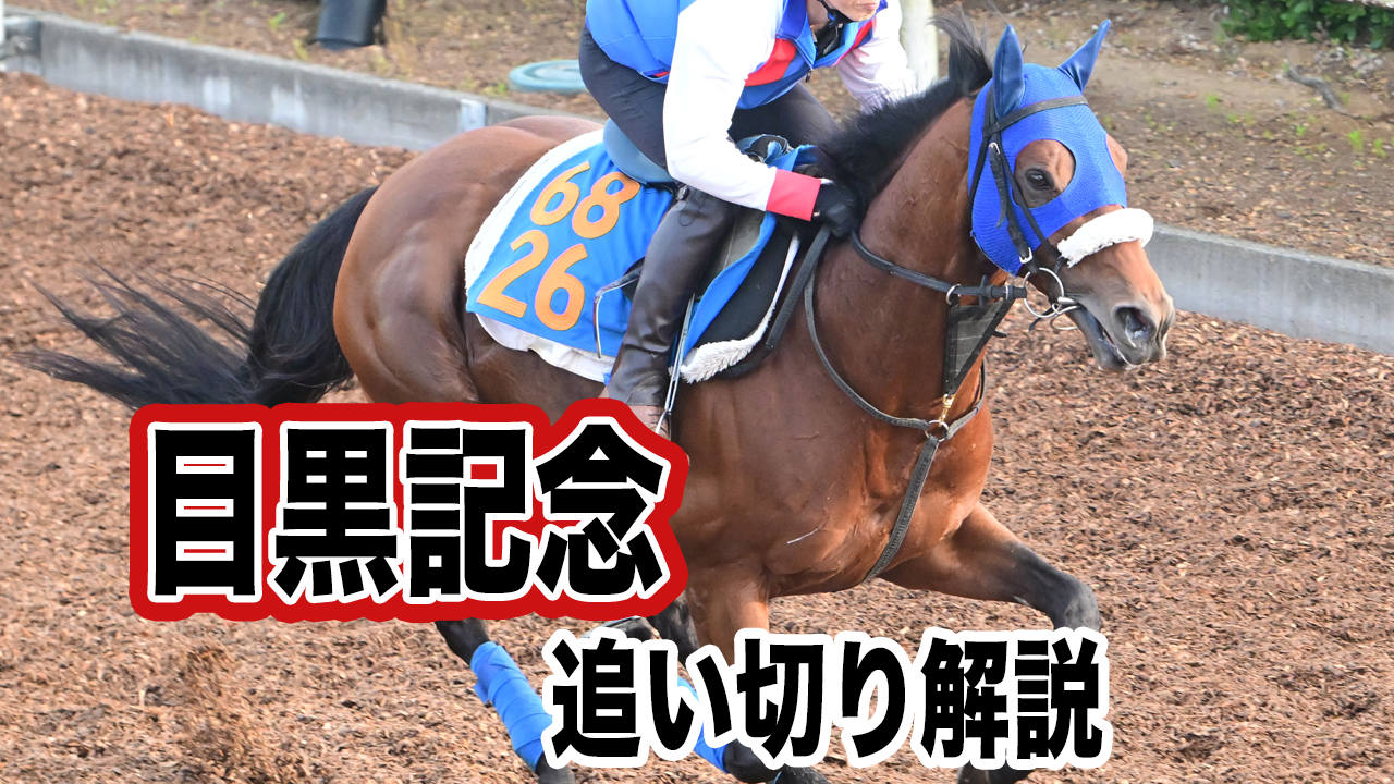皐月賞2023】タスティエーラ・堀宣行調教師「サトノクラウンには種