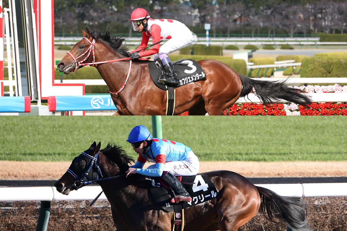 今週から3歳馬が古馬混合戦に出走 〝自己条件〟で注目の馬を