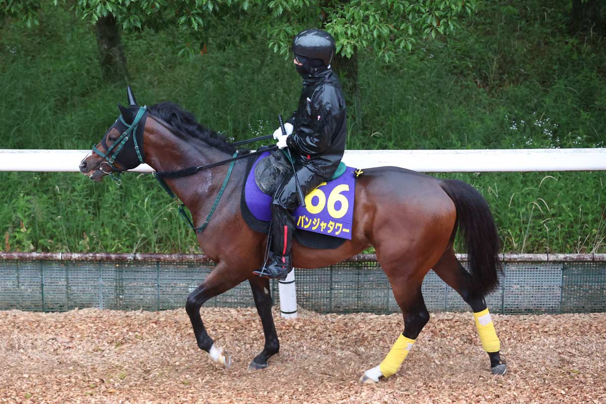 ドバイシーマクラシック】カランダガンが盤石の差し切り GⅠ・5連勝で