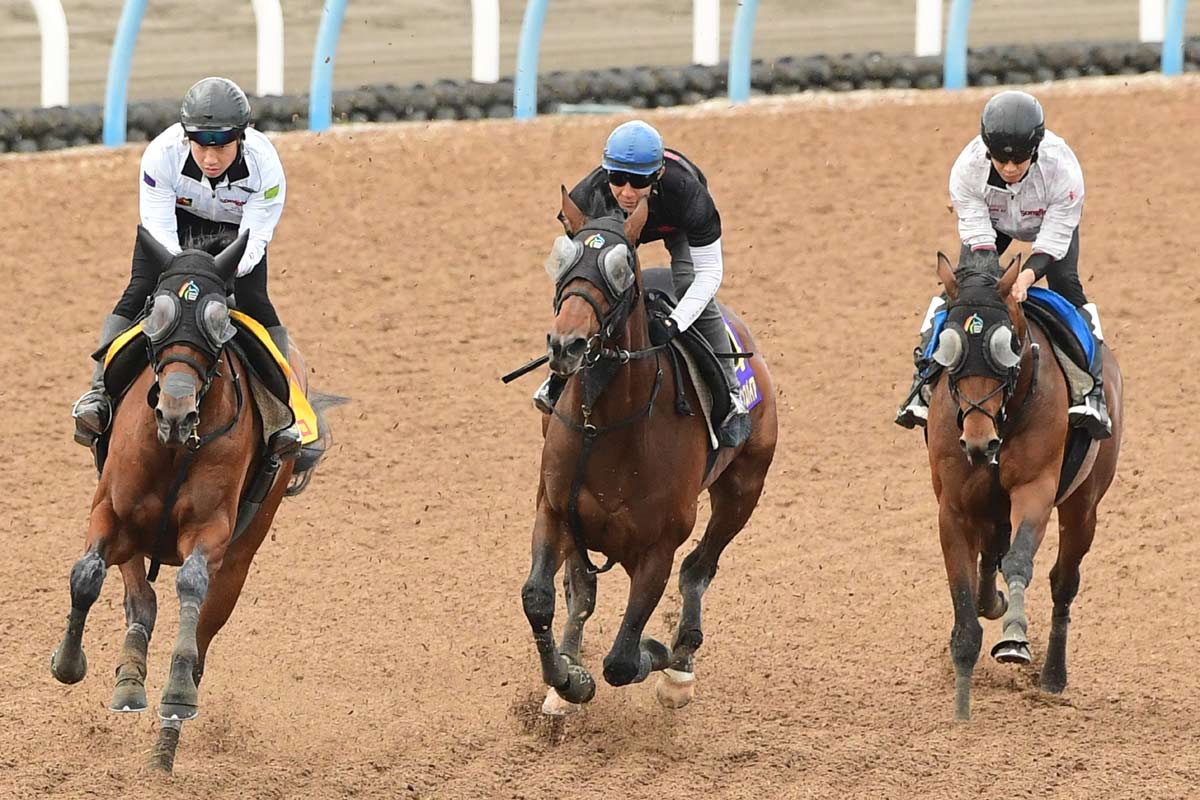 ドバイシーマクラシック】カランダガンが盤石の差し切り GⅠ・5連勝で
