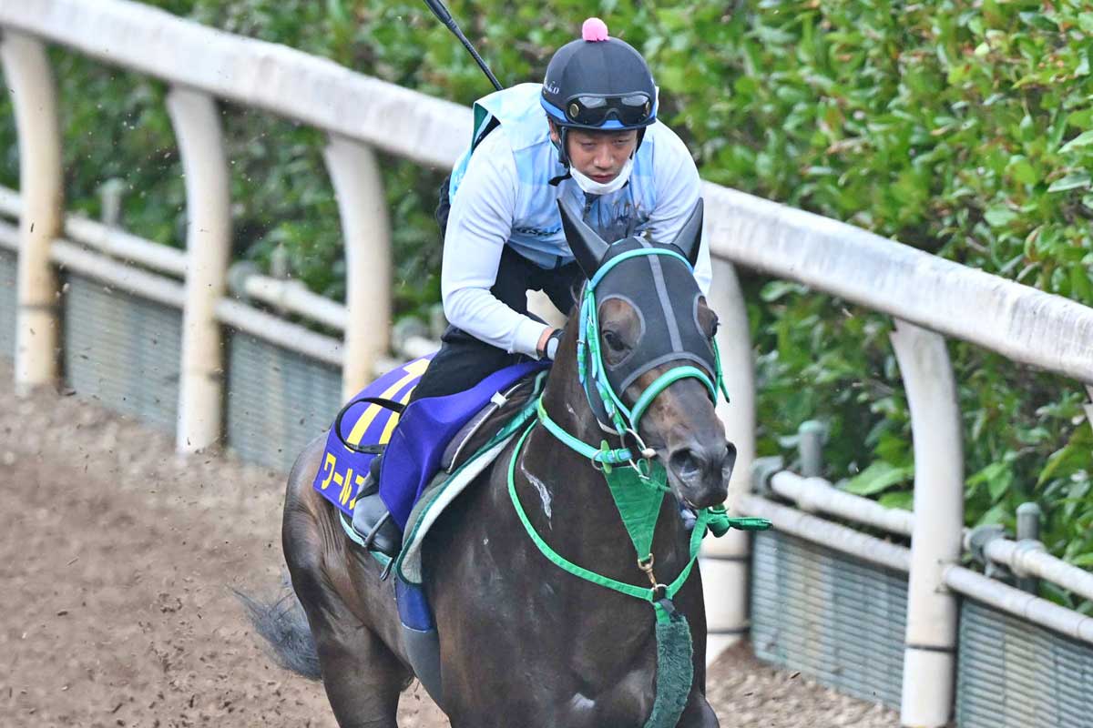 中山記念から始まったパンサラッサと吉田豊の快進撃 コンビ復活となっ