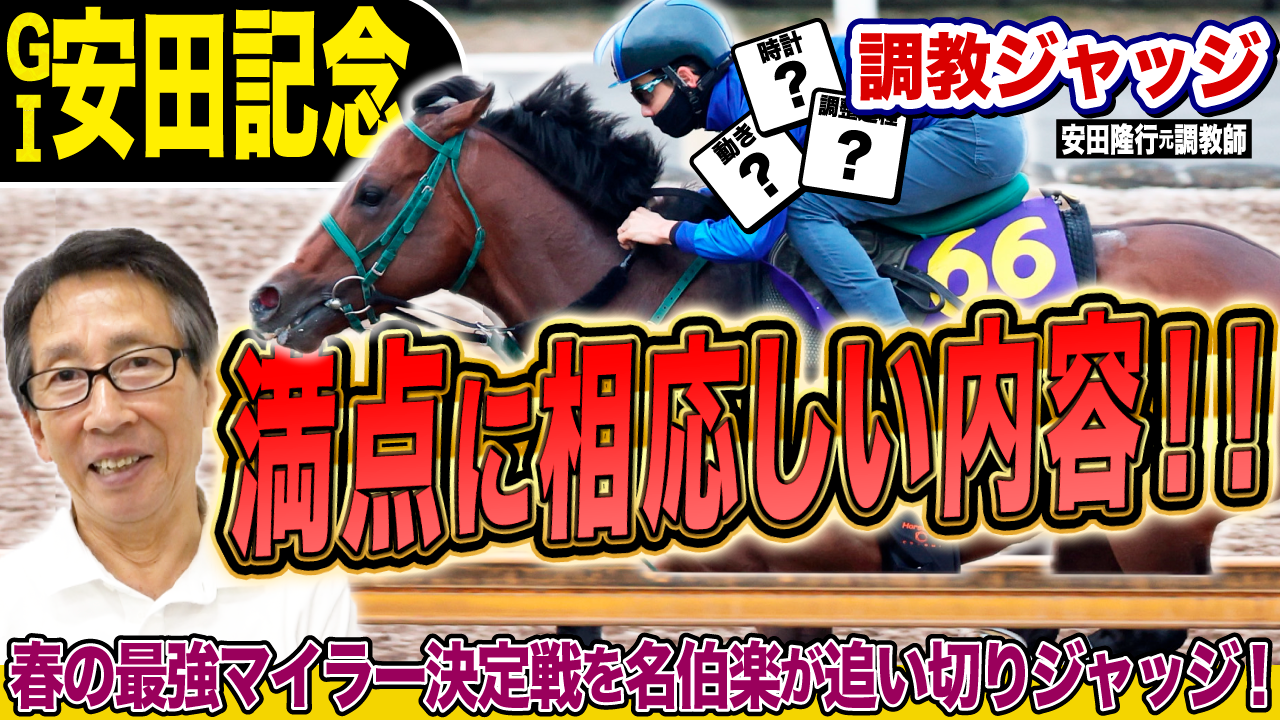 限定公開中 横山武史騎手後編完全版】ポケカは楽しい！趣味のカード
