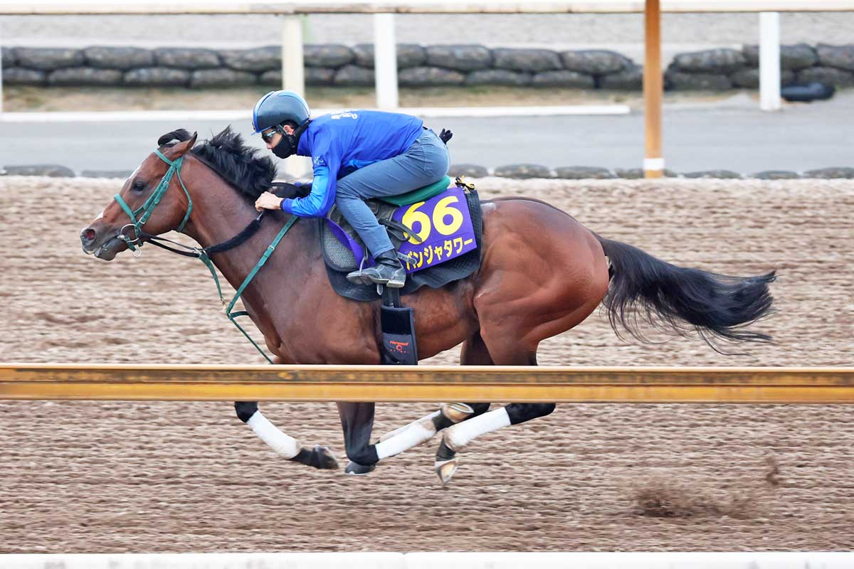 安田記念】枠順確定 パンジャタワーは8枠16番、ガイアフォースは7枠14