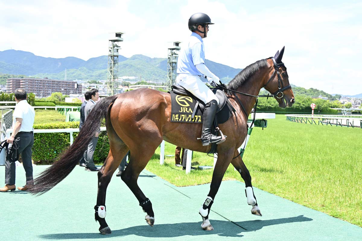02年皐月賞馬ノーリーズン死す 25歳 抽選突破から単勝万馬券での劇