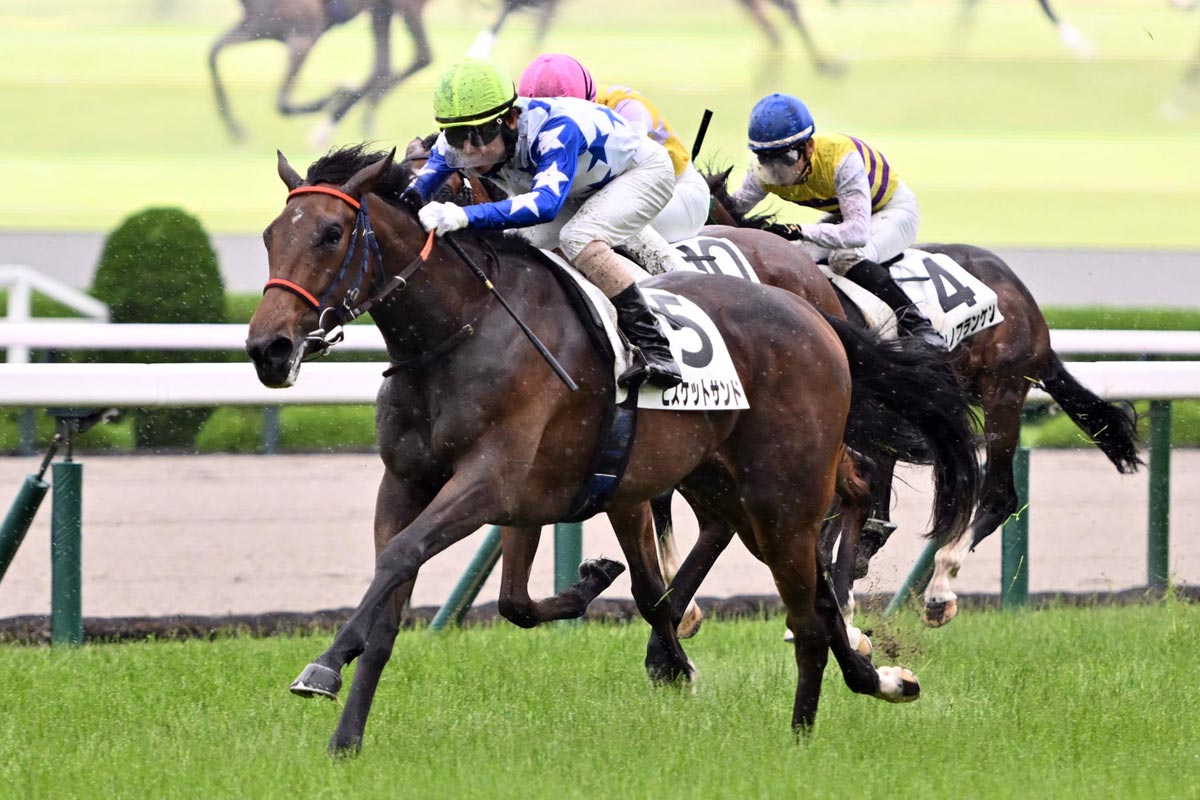 モリアーナの半妹ビスケットサンドが快勝 新馬戦連勝の北村友一「理想