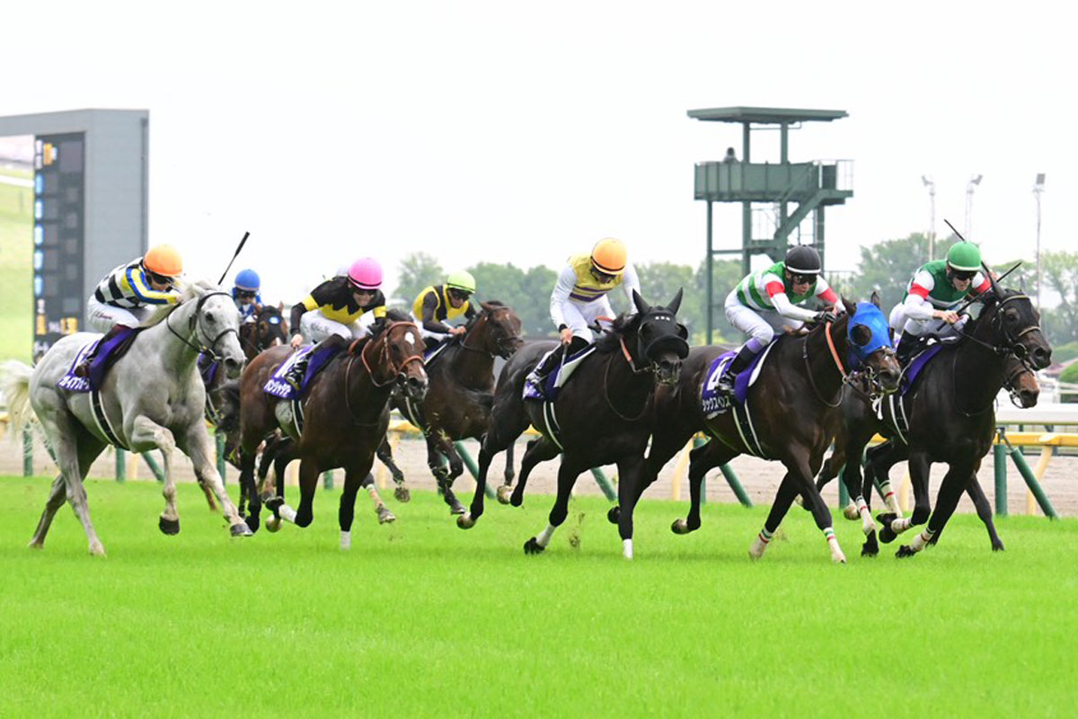 安田記念】GⅠでの2着同着はグレード制導入後3例目 いずれも伏兵が絡む