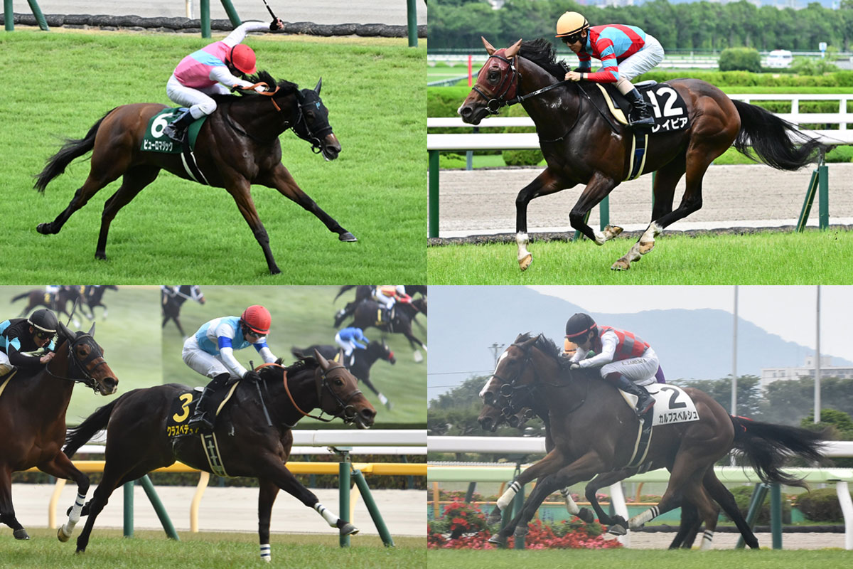 函館スプリントS展望】GⅠ好走馬とコース巧者、上がり馬が入り乱れて