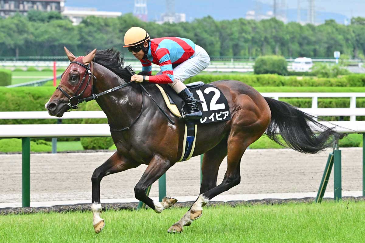 函館スプリントS】満点ゲットの実力馬登場！ 不振のサンデーサイレンス