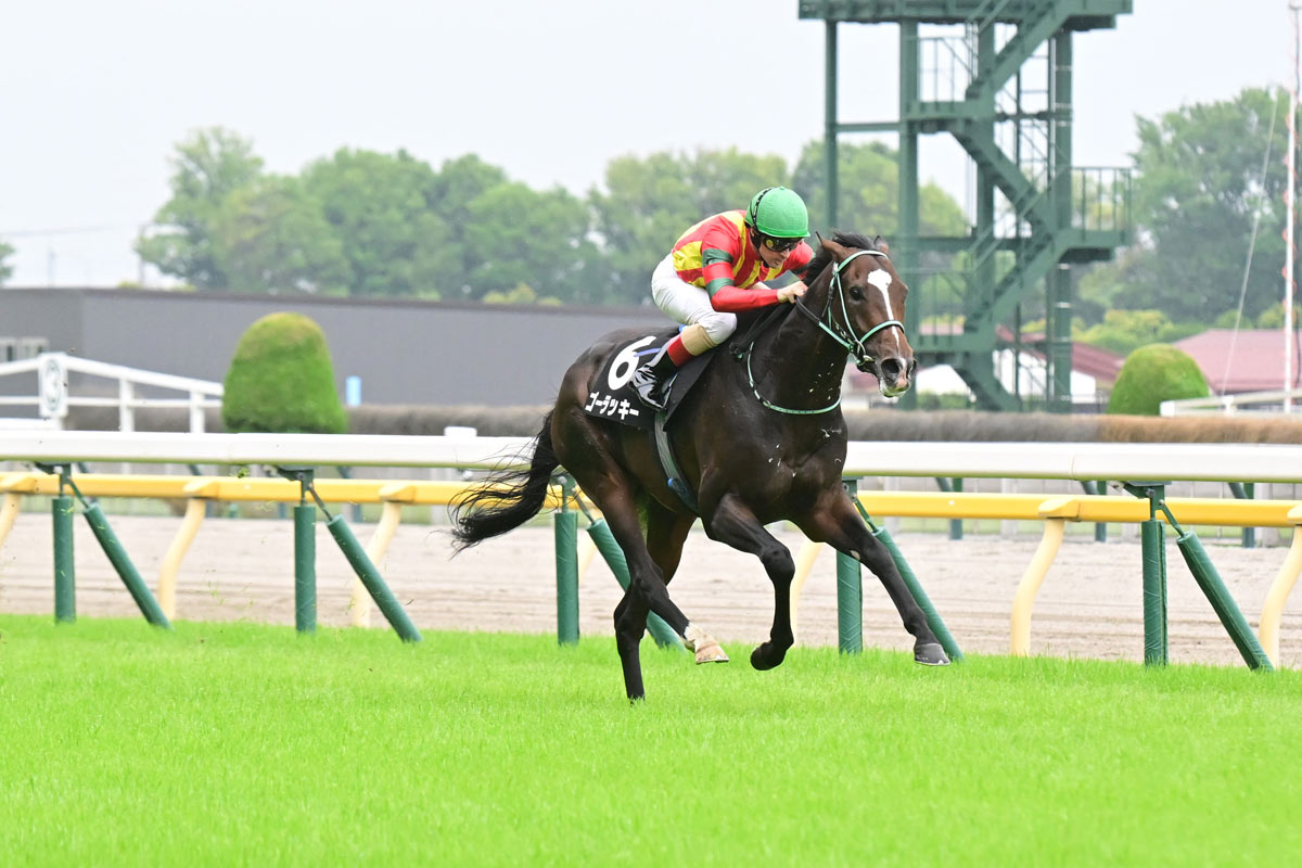 1997年フェブラリーS】初代王者は〝かみつき馬〟シンコウ