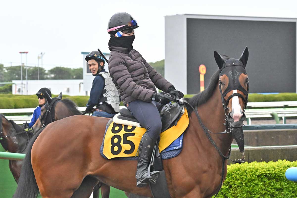 武豊ウオッカ衝撃の7馬身差V！「一瞬で抜け出してしまった