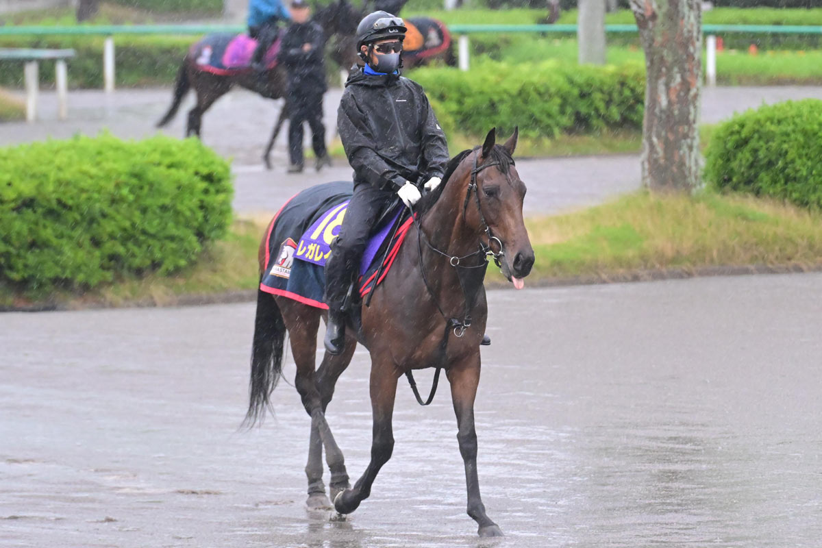 ジャパンC・枠順の明暗】マスカレードボールは7枠15番「もう少し内が