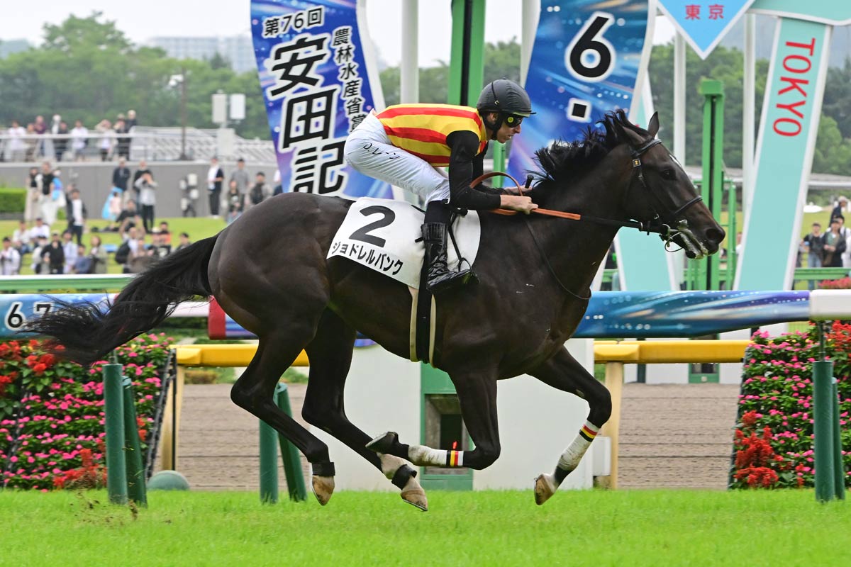 2004年フェブラリーS】「ダートの王道」ど真ん中を歩んだ