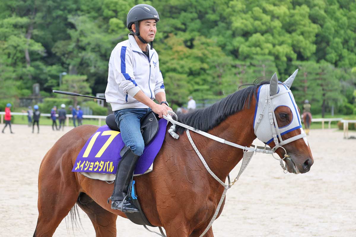 ドバイシーマクラシック】カランダガンが盤石の差し切り GⅠ・5連勝で