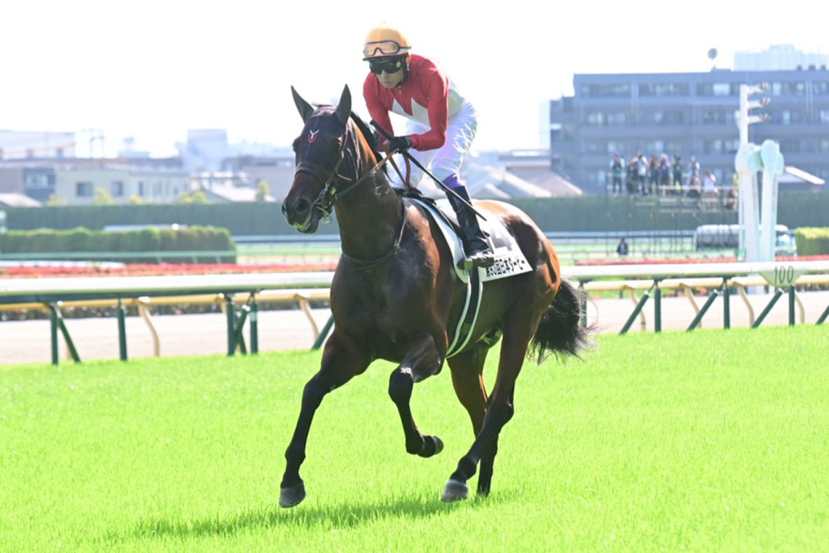 秋華賞】武豊ボンドガールが外から強襲で銀メダル 手塚貴久調教師